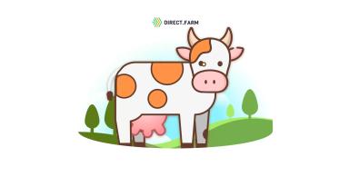 Причины нароста в уголке глаза коровы