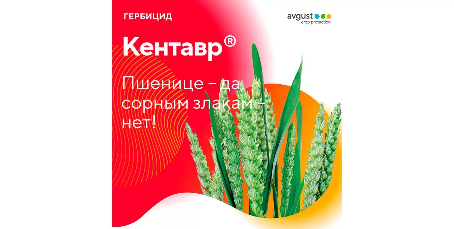 Кентавр® – гербицид для защиты пшеницы