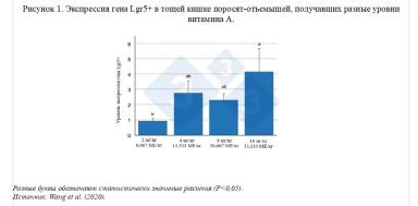 Роль витаминов в иммунном ответе поросят: новые исследования