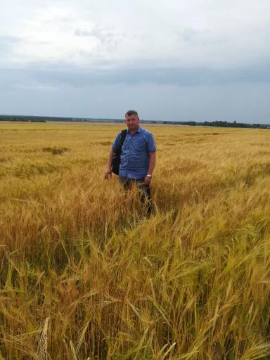 Как внешние услуги могут улучшить результаты агропредприятия