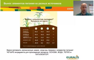 Особенности применения удобрений при возделывании кукурузы