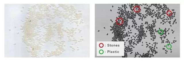 Инфракрасная технология сортировки фотосепараторов MEYER