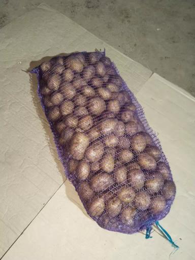 Картофель свежий РБ от производителя