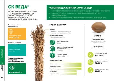СК Веда сорт сои
