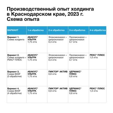 Защита, которая окупается сахаром