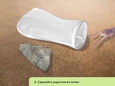 Как организовать ферму по разведению пресноводных раков. Часть 2