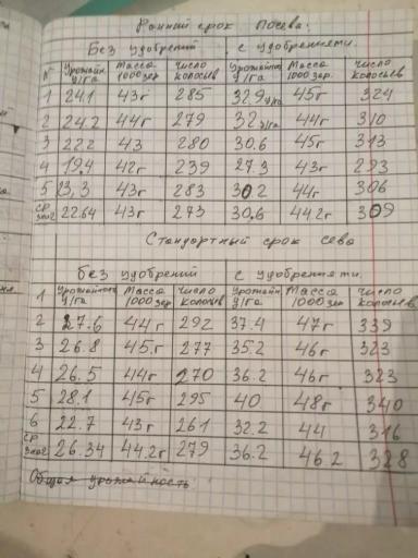 Сравнение раннего и стандартного срока посева ярового ячменя