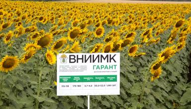 Гарант