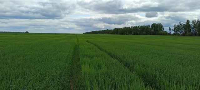 Проблемы сезона 2023 - неоднородность.