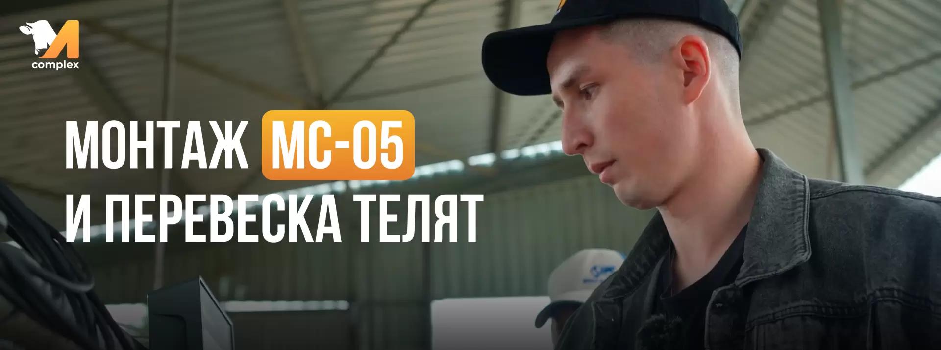 Монтаж МС-05 и перевеска телят | ООО «Калужская Нива»