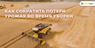 Как сократить потери урожая во время уборки