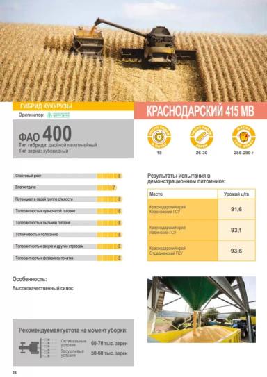 Краснодарский 415 МВ - гибрид кукурузы (Zea mays L.).