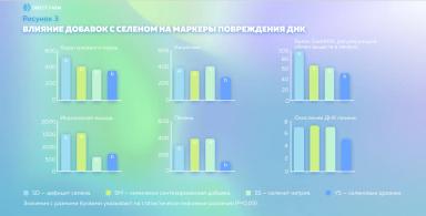 Выбор источника селена в кормлении скота