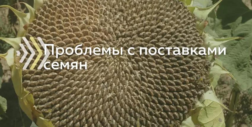 Проблемы с поставками семян
