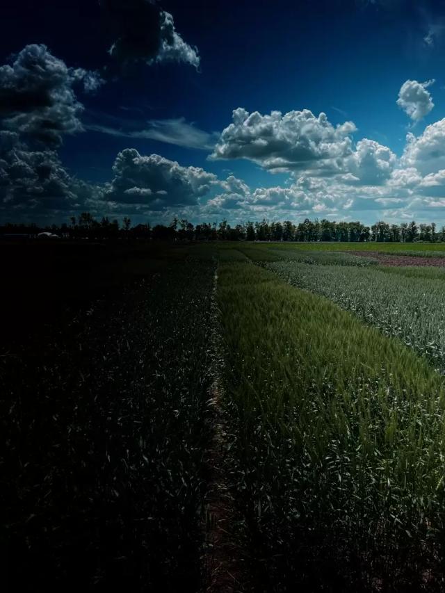 Аграрии почувствуют эффект от снижения пошлин только в августе.