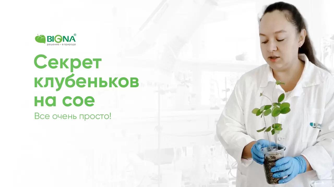 Секрет хороших клубеньков на вашей сое