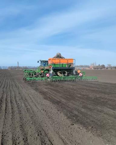 Качественные семена гороха высоких репродукций