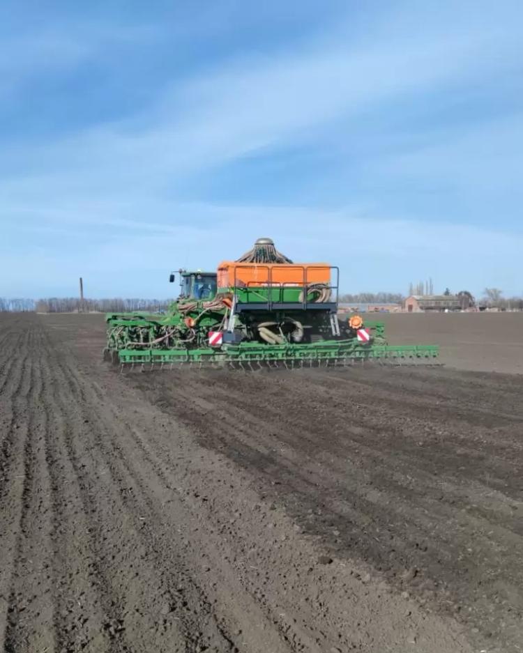 Качественные семена гороха высоких репродукций