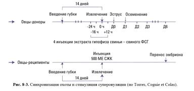 Дюдэ – Овцеводство. Гл. 8. Управление воспроизводством