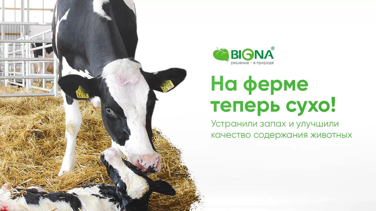 Опыт применения подстилки на ферме
