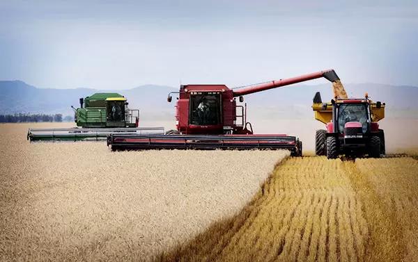 К началу сентября в России собрано 118 млн тонн зерна