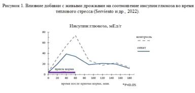 Влияние добавок с живыми дрожжами на организм свиней при тепловом стрессе