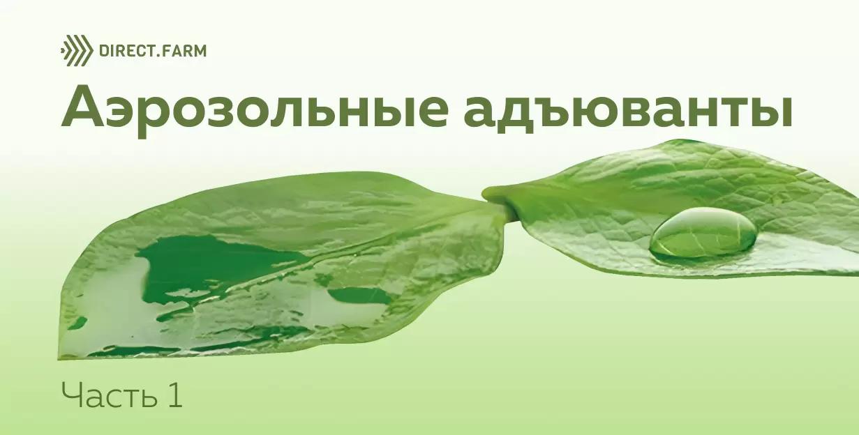 Адъюванты: какие бывают и для чего нужны? Часть 1