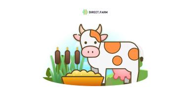 Реализация корма из камыша для КРС