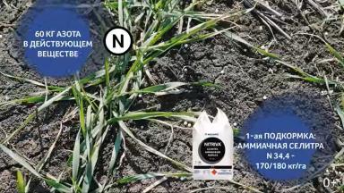 Весенне-полевые работы – советы от ФосАгро