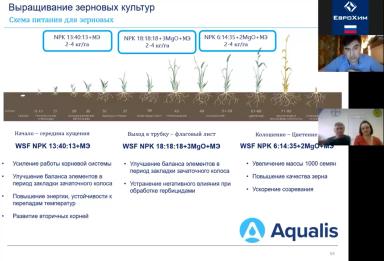 Система удобрения озимой пшеницы