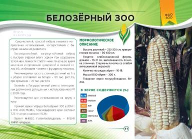 Белозерный 300