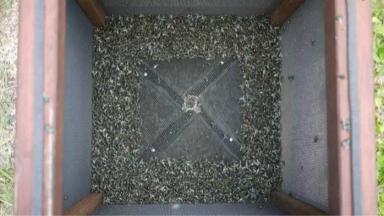 Мухи на ферме - меры борьбы