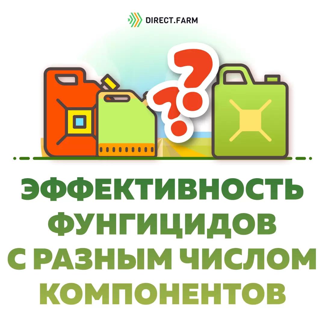 Что эффективнее: одно- или многокомпонентный фунгицид?