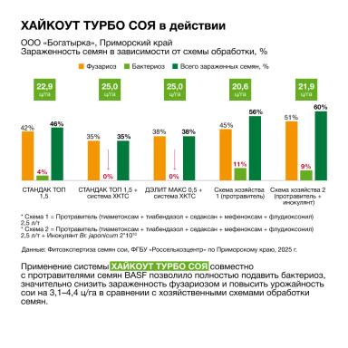 Может ли инокулянт работать против бактериоза?