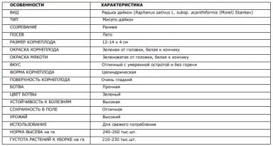 Мисато Грин (MISATO GREEN)