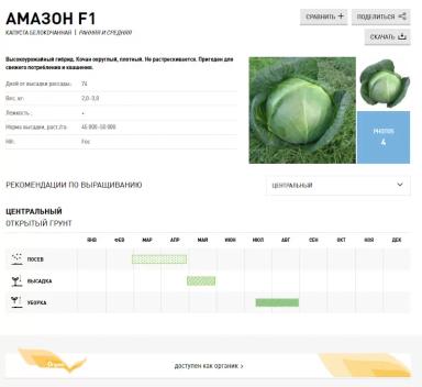 Амазон F1