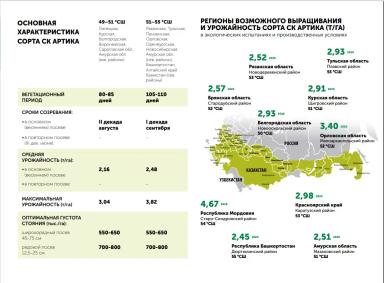 СК Артика сорт сои
