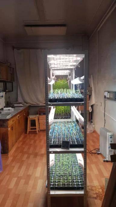 Эксперименты в лаборатории