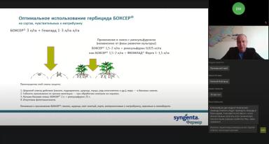 Гербициды на картофеле