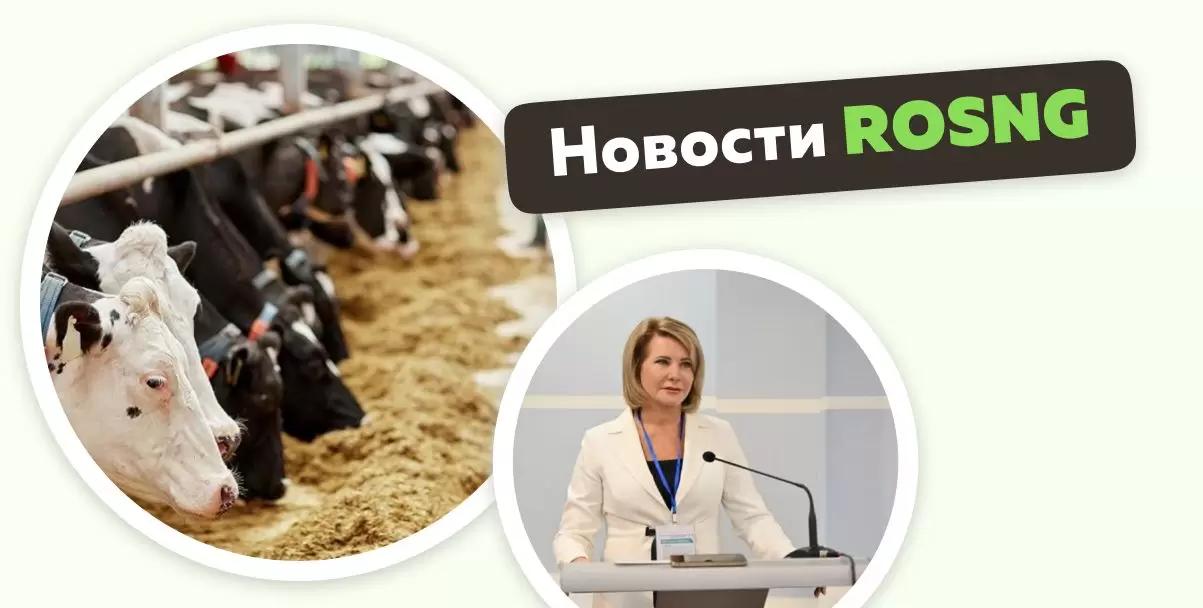 Обзор новостей за 19 января