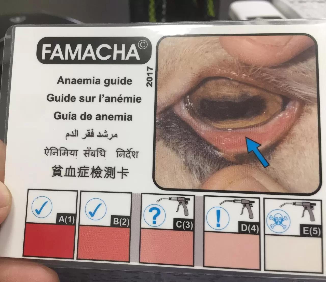 Метод Фамача