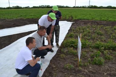 С большим успехом прошел первый День Поля на Агрополигоне «Приволжье».