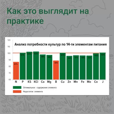 🌾 Как определить дефицит питания у растений? 