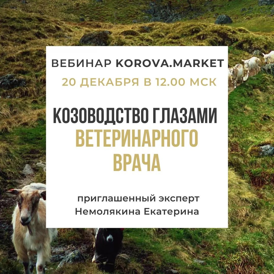 🐐 ВЕБИНАР для КОЗОВОДОВ 