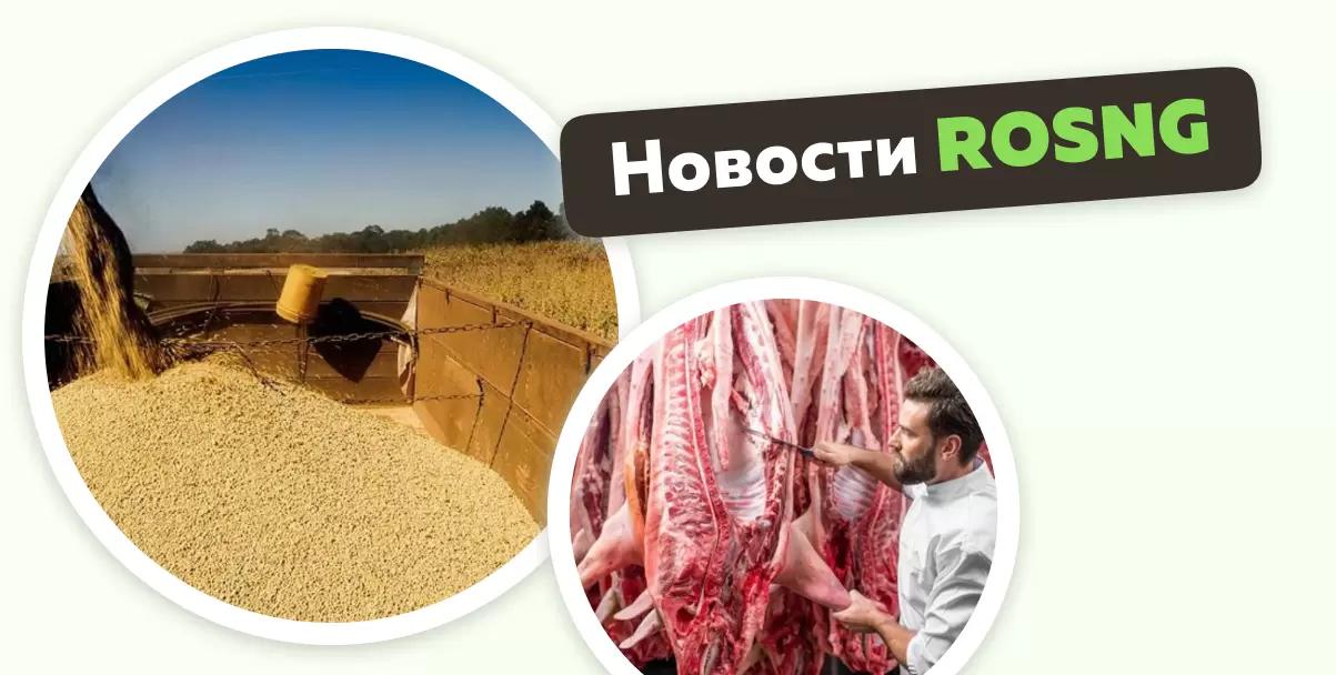 Обзор новостей за 5 декабря