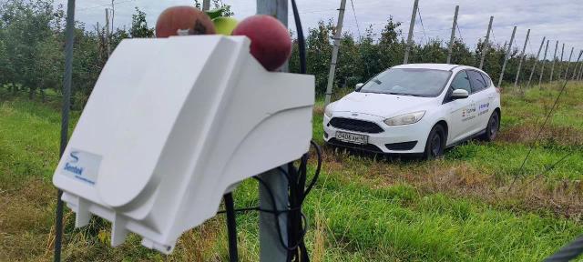 Уникальные кейсы внедрения систем мониторинга влажности почвы в орошении