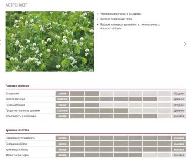 Астронавт (ASTRONAUTE)