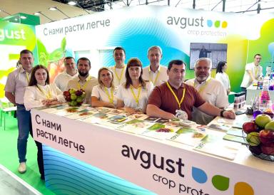 PRO ЯБЛОКО: САДЫ РОССИИ-2025