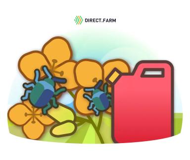 Эффективное решение в контроле рапсового цветоеда