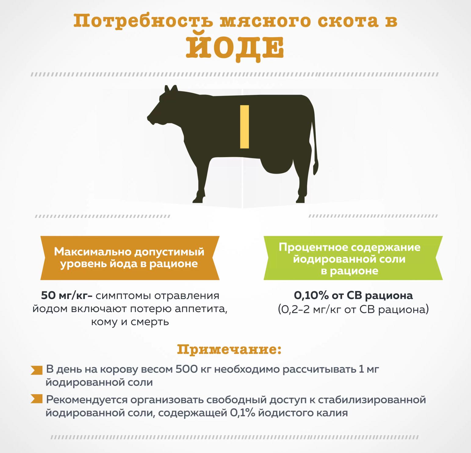 Потребность мясного скота в йоде